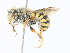 ( - CBG-A18358-H10)  @11 [ ] CreativeCommons - Attribution Share - Alike (2023) CBG Photography Group Centre for Biodiversity Genomics