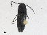  ( - CBG-A18367-F02)  @11 [ ] CreativeCommons - Attribution Share - Alike (2023) CBG Photography Group Centre for Biodiversity Genomics