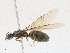  ( - CBG-A18367-G06)  @11 [ ] CreativeCommons - Attribution Share - Alike (2023) CBG Photography Group Centre for Biodiversity Genomics