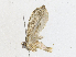  ( - CBG-A18369-B02)  @11 [ ] CreativeCommons - Attribution Share - Alike (2023) CBG Photography Group Centre for Biodiversity Genomics