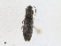  ( - CBG-A18399-C04)  @11 [ ] CreativeCommons - Attribution Share - Alike (2023) CBG Photography Group Centre for Biodiversity Genomics