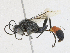  ( - CBG-A21601-D02)  @11 [ ] CreativeCommons - Attribution Share - Alike (2023) CBG Photography Group Centre for Biodiversity Genomics