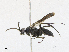  ( - CBG-A21602-G01)  @11 [ ] CreativeCommons - Attribution Share - Alike (2023) CBG Photography Group Centre for Biodiversity Genomics