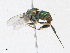  ( - CBG-A21603-B12)  @11 [ ] CreativeCommons - Attribution Share - Alike (2023) CBG Photography Group Centre for Biodiversity Genomics