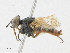  ( - CBG-A21603-D10)  @11 [ ] CreativeCommons - Attribution Share - Alike (2023) CBG Photography Group Centre for Biodiversity Genomics