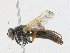  ( - CBG-A21603-E04)  @11 [ ] CreativeCommons - Attribution Share - Alike (2023) CBG Photography Group Centre for Biodiversity Genomics