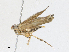  ( - CBG-A21608-C03)  @11 [ ] CreativeCommons - Attribution Share - Alike (2023) CBG Photography Group Centre for Biodiversity Genomics