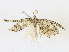  ( - CBG-A21608-C09)  @11 [ ] CreativeCommons - Attribution Share - Alike (2023) CBG Photography Group Centre for Biodiversity Genomics