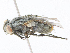  ( - CBG-A21608-H09)  @11 [ ] CreativeCommons - Attribution Share - Alike (2023) CBG Photography Group Centre for Biodiversity Genomics