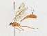  ( - CBG-A21636-D01)  @11 [ ] CreativeCommons - Attribution Share - Alike (2023) CBG Photography Group Centre for Biodiversity Genomics
