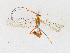 ( - CBG-A21636-D06)  @11 [ ] CreativeCommons - Attribution Share - Alike (2023) CBG Photography Group Centre for Biodiversity Genomics