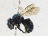  ( - CBG-A21636-F01)  @11 [ ] CreativeCommons - Attribution Share - Alike (2023) CBG Photography Group Centre for Biodiversity Genomics