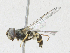  ( - CBG-A21637-C10)  @11 [ ] CreativeCommons - Attribution Share - Alike (2023) CBG Photography Group Centre for Biodiversity Genomics