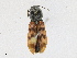  ( - CBG-A21638-F05)  @11 [ ] CreativeCommons - Attribution Share - Alike (2023) CBG Photography Group Centre for Biodiversity Genomics