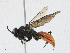  ( - CBG-A21714-C07)  @11 [ ] CreativeCommons - Attribution Share - Alike (2023) CBG Photography Group Centre for Biodiversity Genomics