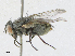  ( - CBG-A21714-D06)  @11 [ ] CreativeCommons - Attribution Share - Alike (2023) CBG Photography Group Centre for Biodiversity Genomics