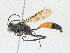  ( - CBG-A21721-B06)  @11 [ ] CreativeCommons - Attribution Share - Alike (2023) CBG Photography Group Centre for Biodiversity Genomics