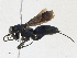  ( - CBG-A21721-E08)  @11 [ ] CreativeCommons - Attribution Share - Alike (2023) CBG Photography Group Centre for Biodiversity Genomics