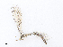  ( - CBG-A21723-H08)  @11 [ ] CreativeCommons - Attribution Share - Alike (2023) CBG Photography Group Centre for Biodiversity Genomics