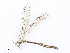  ( - CBG-A21723-H11)  @11 [ ] CreativeCommons - Attribution Share - Alike (2023) CBG Photography Group Centre for Biodiversity Genomics