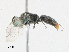  ( - CBG-A21724-G05)  @11 [ ] CreativeCommons - Attribution Share - Alike (2023) CBG Photography Group Centre for Biodiversity Genomics