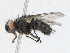  ( - CBG-A23313-A03)  @11 [ ] CreativeCommons - Attribution Share - Alike (2023) CBG Photography Group Centre for Biodiversity Genomics