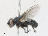  ( - CBG-A23313-B04)  @11 [ ] CreativeCommons - Attribution Share - Alike (2023) CBG Photography Group Centre for Biodiversity Genomics