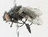  ( - CBG-A23313-C11)  @11 [ ] CreativeCommons - Attribution Share - Alike (2023) CBG Photography Group Centre for Biodiversity Genomics