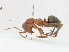 ( - CBG-A23313-F06)  @11 [ ] CreativeCommons - Attribution Share - Alike (2023) CBG Photography Group Centre for Biodiversity Genomics