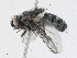  ( - CBG-A23314-A02)  @11 [ ] CreativeCommons - Attribution Share - Alike (2023) CBG Photography Group Centre for Biodiversity Genomics