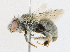  ( - CBG-A18360-A02)  @11 [ ] CreativeCommons - Attribution Share - Alike (2023) CBG Photography Group Centre for Biodiversity Genomics
