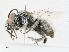  ( - CBG-A18360-A05)  @11 [ ] CreativeCommons - Attribution Share - Alike (2023) CBG Photography Group Centre for Biodiversity Genomics