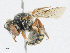  ( - CBG-A18360-B07)  @11 [ ] CreativeCommons - Attribution Share - Alike (2023) CBG Photography Group Centre for Biodiversity Genomics