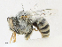  ( - CBG-A18361-C12)  @11 [ ] CreativeCommons - Attribution Share - Alike (2023) CBG Photography Group Centre for Biodiversity Genomics