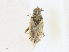  ( - CBG-A21640-D05)  @11 [ ] CreativeCommons - Attribution Share - Alike (2023) CBG Photography Group Centre for Biodiversity Genomics