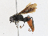  ( - CBG-A21655-A03)  @11 [ ] CreativeCommons - Attribution Share - Alike (2023) CBG Photography Group Centre for Biodiversity Genomics