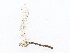  ( - CBG-A21655-H11)  @11 [ ] CreativeCommons - Attribution Share - Alike (2023) CBG Photography Group Centre for Biodiversity Genomics