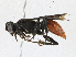  ( - CBG-A21656-B06)  @11 [ ] CreativeCommons - Attribution Share-Alike (2023) CBG Photography Group Centre for Biodiversity Genomics