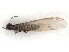  ( - CBG-A21683-H06)  @11 [ ] CreativeCommons - Attribution Share - Alike (2023) CBG Photography Group Centre for Biodiversity Genomics