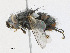  ( - CBG-A21701-B01)  @11 [ ] CreativeCommons - Attribution Share - Alike (2023) CBG Photography Group Centre for Biodiversity Genomics