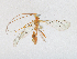  ( - CBG-A21714-F02)  @11 [ ] CreativeCommons - Attribution Share - Alike (2023) CBG Photography Group Centre for Biodiversity Genomics