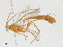  ( - CBG-A21714-F04)  @11 [ ] CreativeCommons - Attribution Share - Alike (2023) CBG Photography Group Centre for Biodiversity Genomics