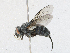  ( - CBG-A21714-G01)  @11 [ ] CreativeCommons - Attribution Share - Alike (2023) CBG Photography Group Centre for Biodiversity Genomics