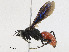  ( - CBG-A21716-F03)  @11 [ ] CreativeCommons - Attribution Share - Alike (2023) CBG Photography Group Centre for Biodiversity Genomics
