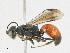  ( - CBG-A21728-E05)  @11 [ ] CreativeCommons - Attribution Share - Alike (2023) CBG Photography Group Centre for Biodiversity Genomics