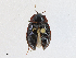  ( - CBG-A23315-C01)  @11 [ ] CreativeCommons - Attribution Share - Alike (2023) CBG Photography Group Centre for Biodiversity Genomics