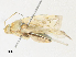  ( - CBG-A23317-G11)  @11 [ ] CreativeCommons - Attribution Share - Alike (2023) CBG Photography Group Centre for Biodiversity Genomics