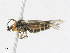  ( - CBG-A23358-A05)  @11 [ ] CreativeCommons - Attribution Share - Alike (2023) CBG Photography Group Centre for Biodiversity Genomics