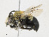  ( - CBG-A23358-G07)  @11 [ ] CreativeCommons - Attribution Share - Alike (2023) CBG Photography Group Centre for Biodiversity Genomics