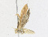  ( - CBG-A18363-B04)  @11 [ ] CreativeCommons - Attribution Share - Alike (2023) CBG Photography Group Centre for Biodiversity Genomics